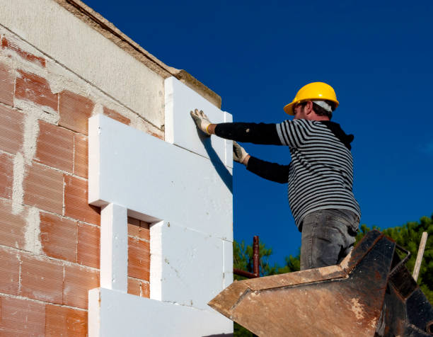 Best Geographic-Specific Insulation Services in Tangelo Park, FL