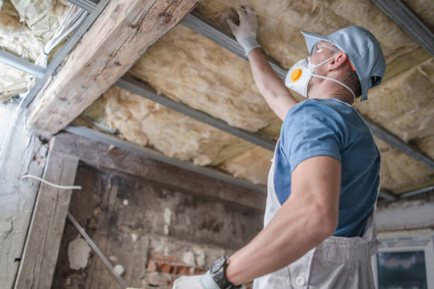 Tangelo Park, FL Insulation Contractor Company