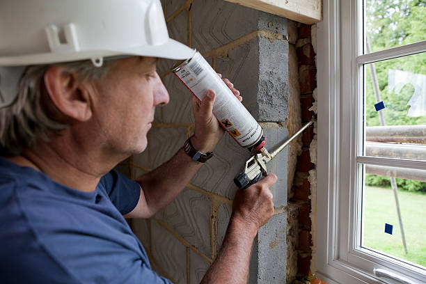 Best Cellulose Insulation in Tangelo Park, FL