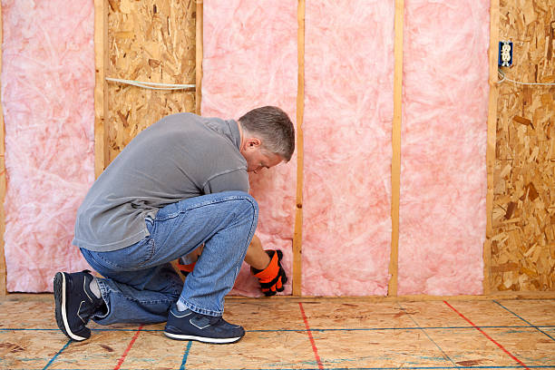 Types of Insulation We Offer in Tangelo Park, FL