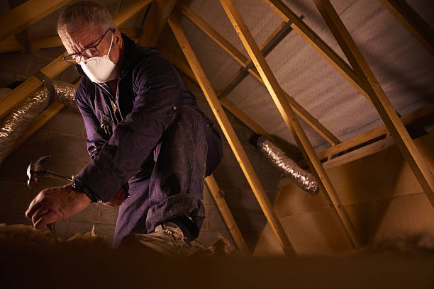 Best Insulation Maintenance and Repair in Tangelo Park, FL