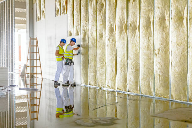 Best Residential Insulation in Tangelo Park, FL